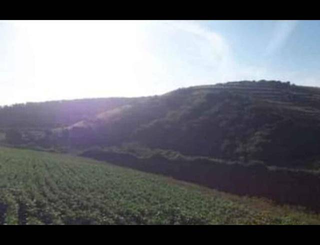 LAND FOR SALE IN UMZINTO RURAL